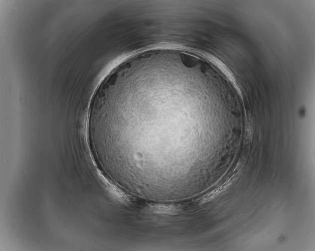 X0000100771245200806261536