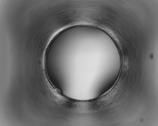X0000100771246200806261536