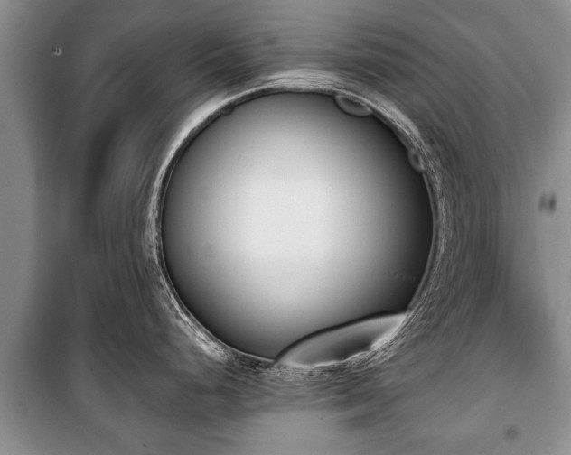 X0000100771248200806261536