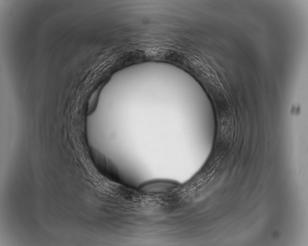 X0000100771249200806261535