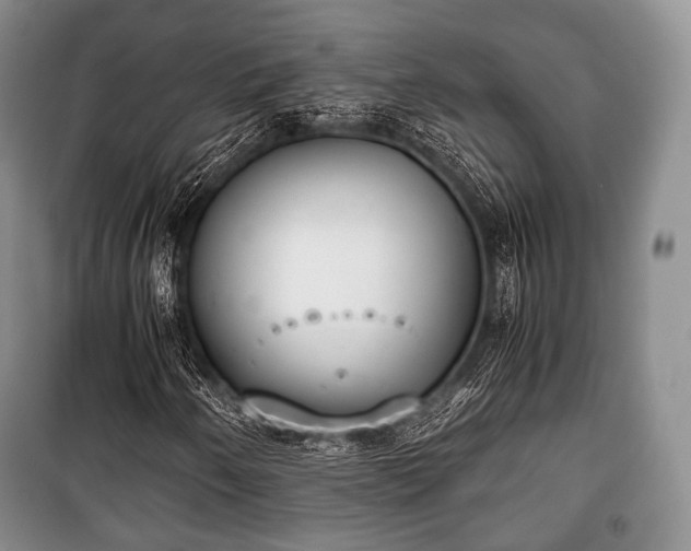 X0000100771250200806261535