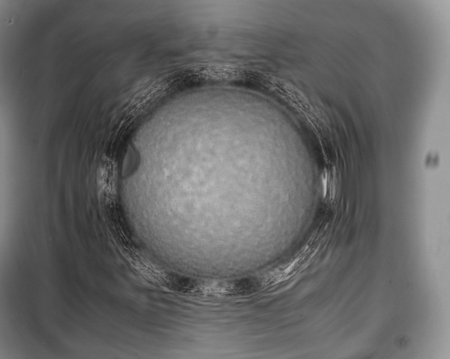 X0000100771251200806261535