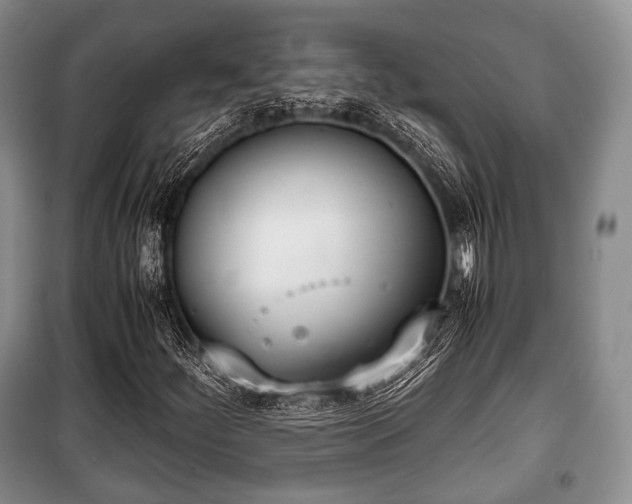 X0000100771252200806261535