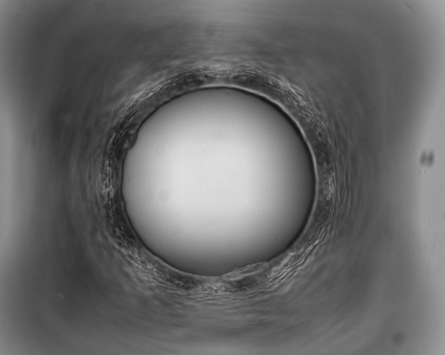 X0000100771253200806261535