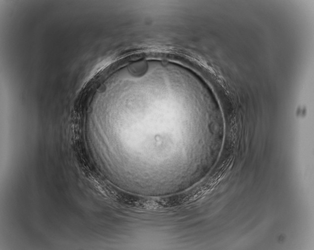 X0000100771255200806261535