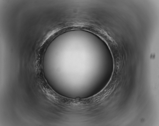 X0000100771256200806261535