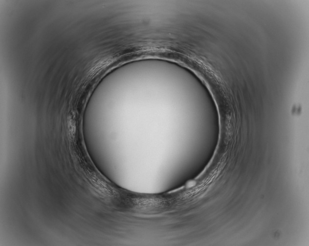 X0000100771257200806261535