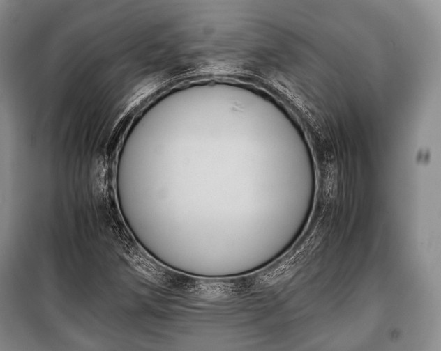 X0000100771258200806261535