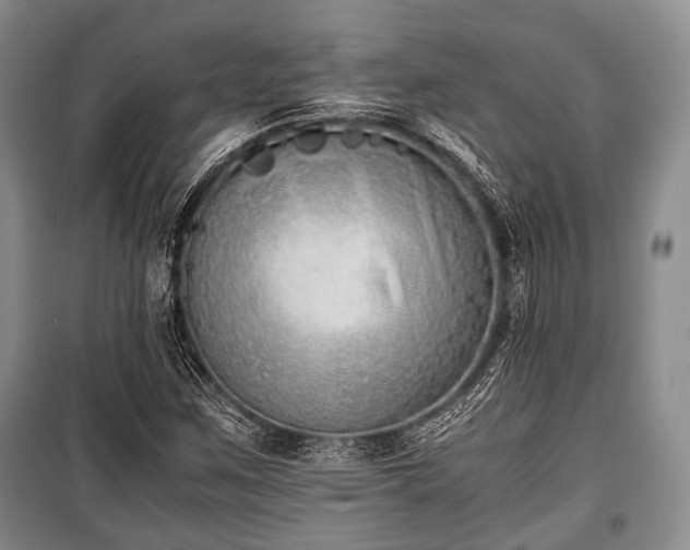 X0000100771259200806261535