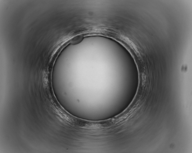 X0000100771260200806261535