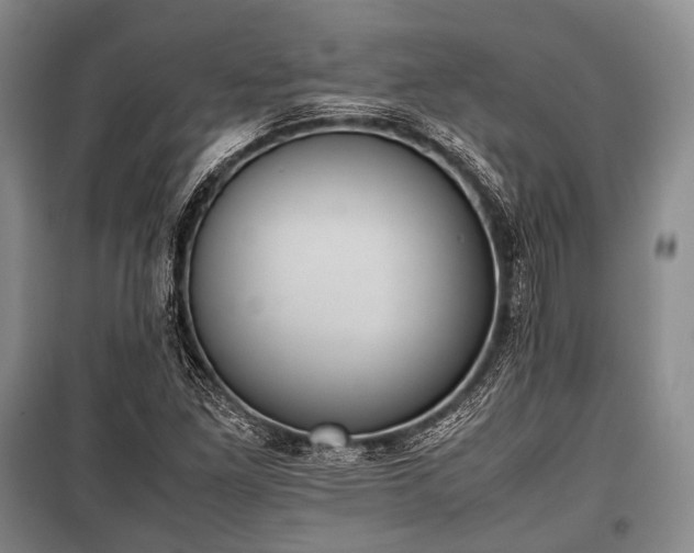 X0000100771261200806261535