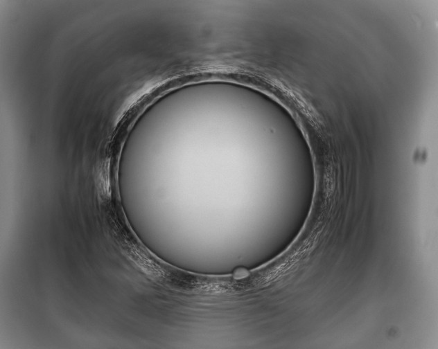 X0000100771262200806261535