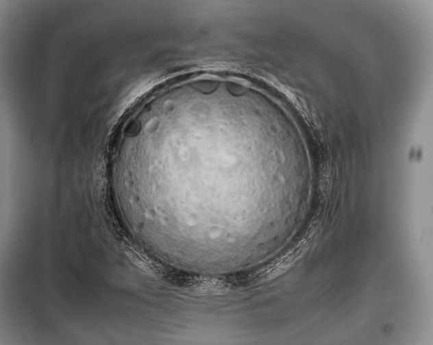 X0000100771263200806261535