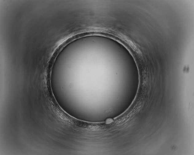 X0000100771264200806261535