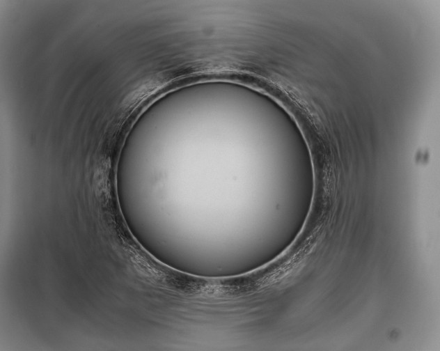 X0000100771265200806261535