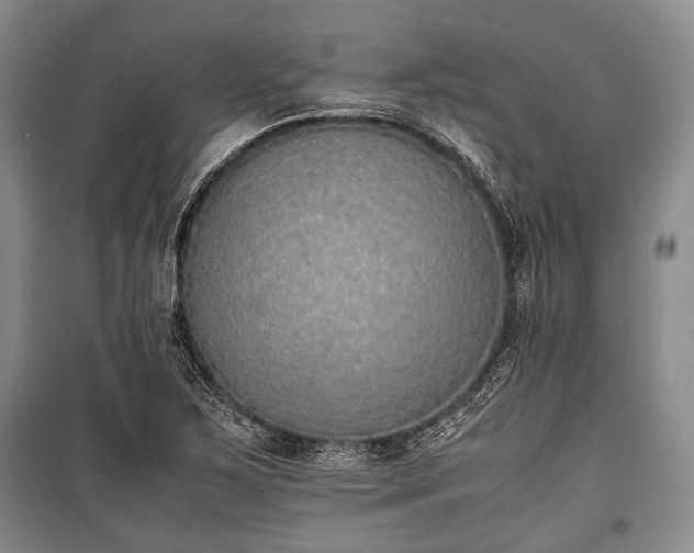 X0000100771267200806261535
