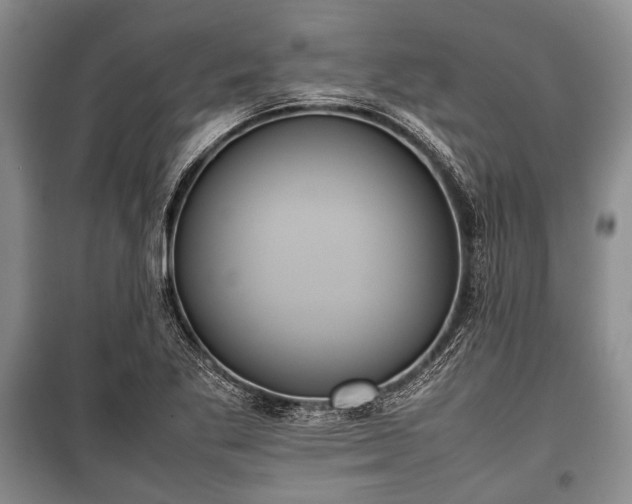 X0000100771269200806261535