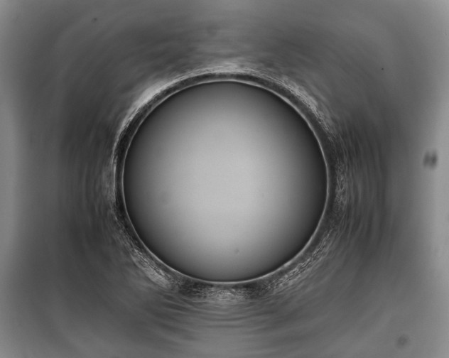 X0000100771270200806261535