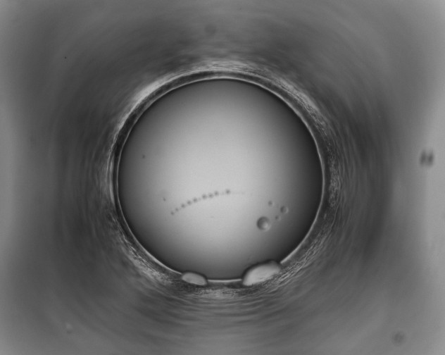 X0000100771272200806261535