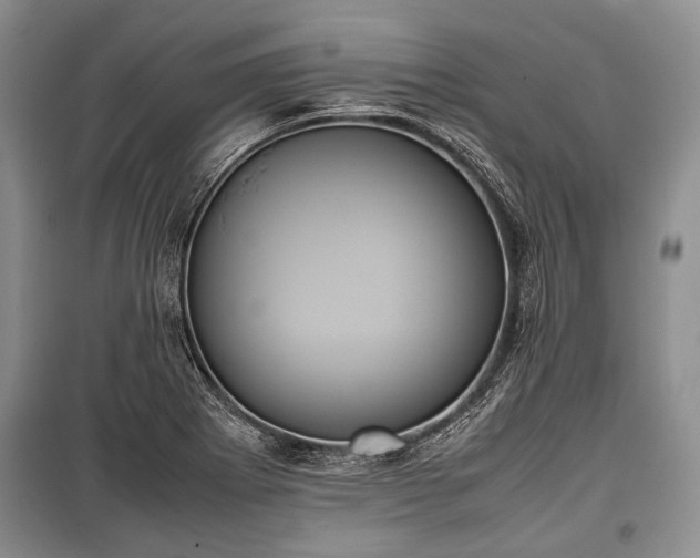 X0000100771273200806261535