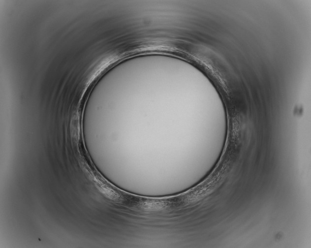 X0000100771274200806261535