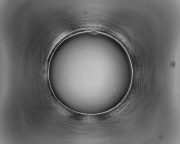 X0000100771275200806261535