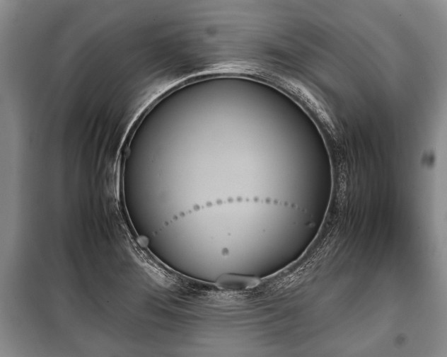 X0000100771276200806261535