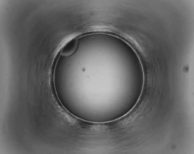 X0000100771277200806261535