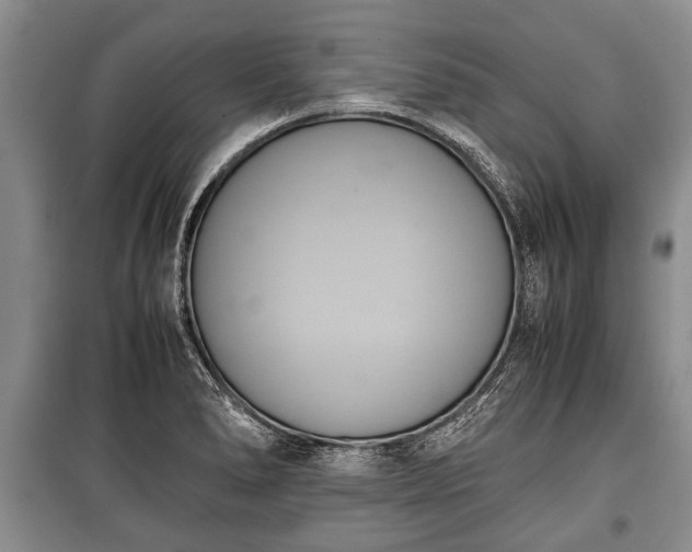X0000100771278200806261535