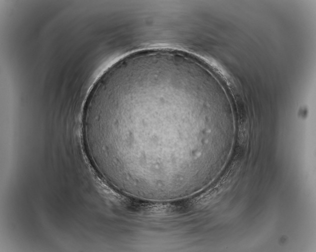 X0000100771279200806261535