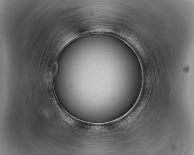 X0000100771281200806261535