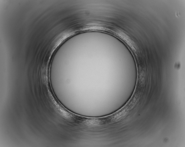 X0000100771282200806261535