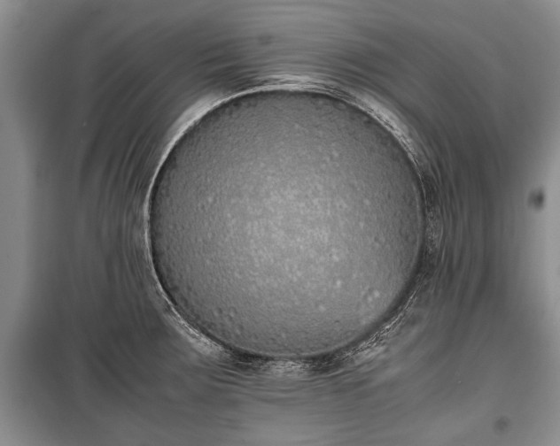X0000100771283200806261535