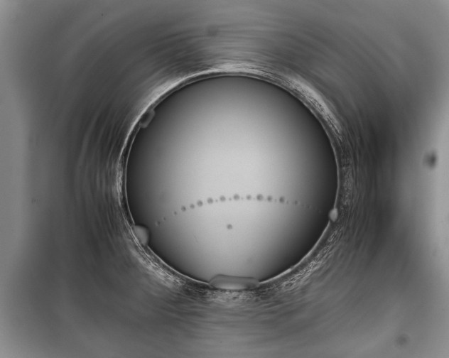 X0000100771284200806261535