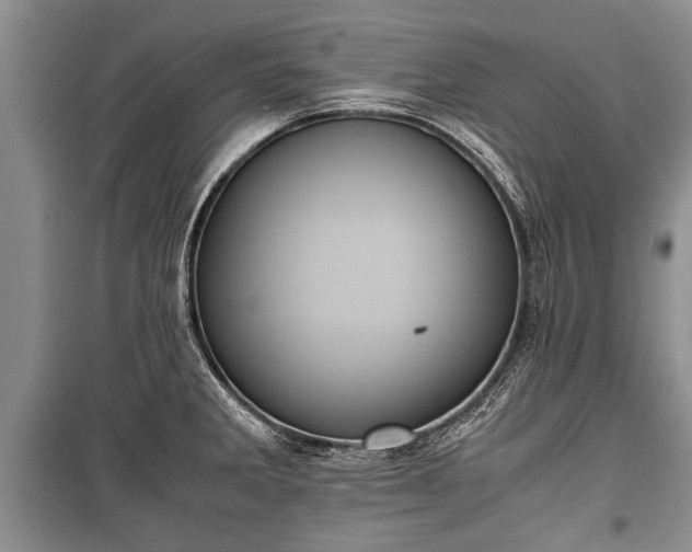 X0000100771285200806261535
