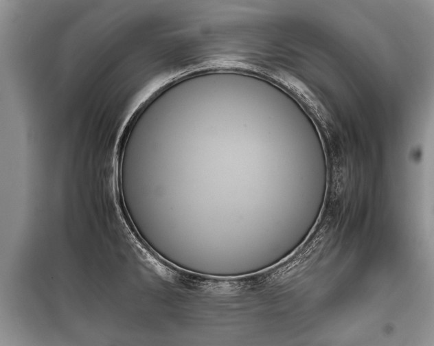 X0000100771286200806261535