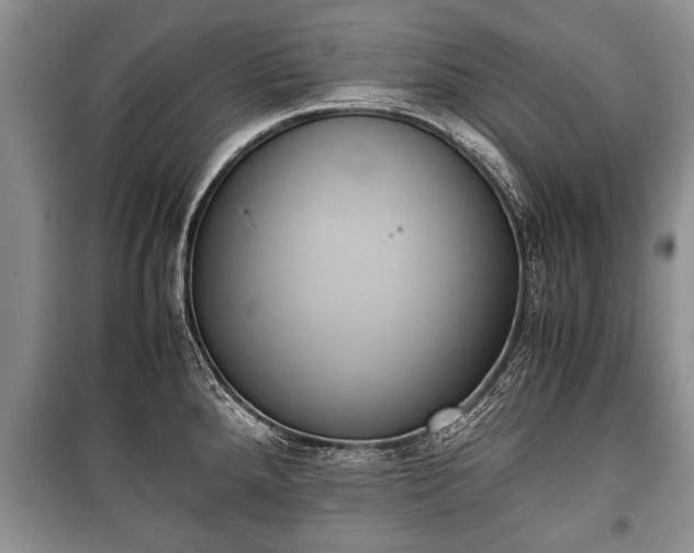 X0000100771288200806261535