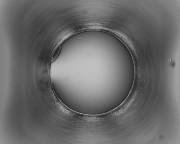 X0000100771289200806261534