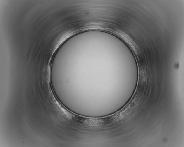 X0000100771290200806261534