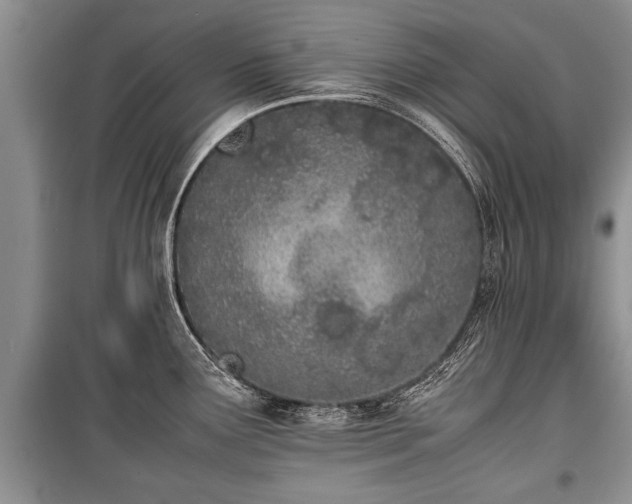 X0000100771291200806261534