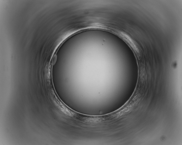 X0000100771292200806261534