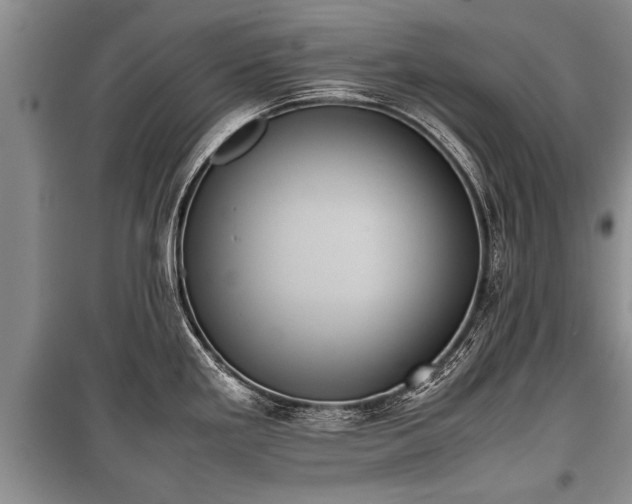 X0000100771293200806261534