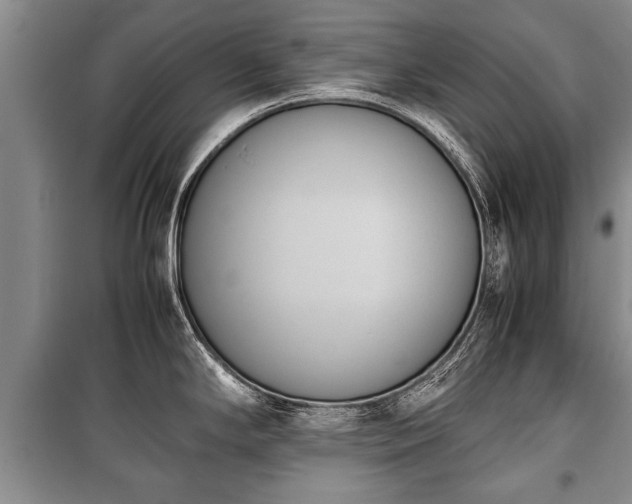 X0000100771294200806261534