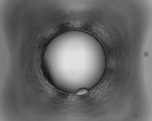 X0000100771297200806261534