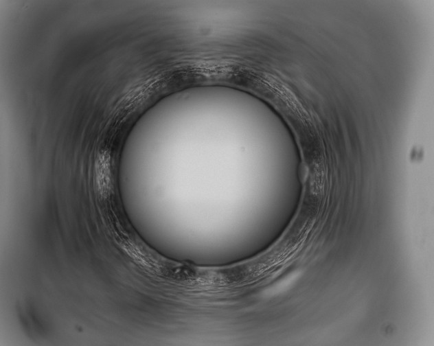 X0000100771298200806261534