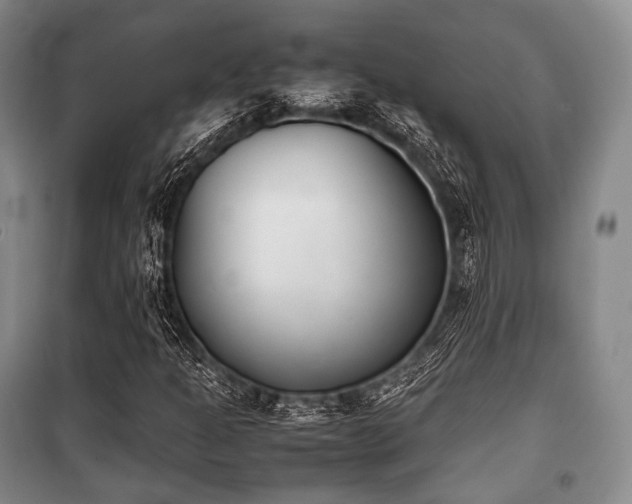 X0000100771301200806261534