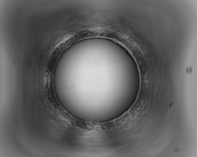 X0000100771302200806261534