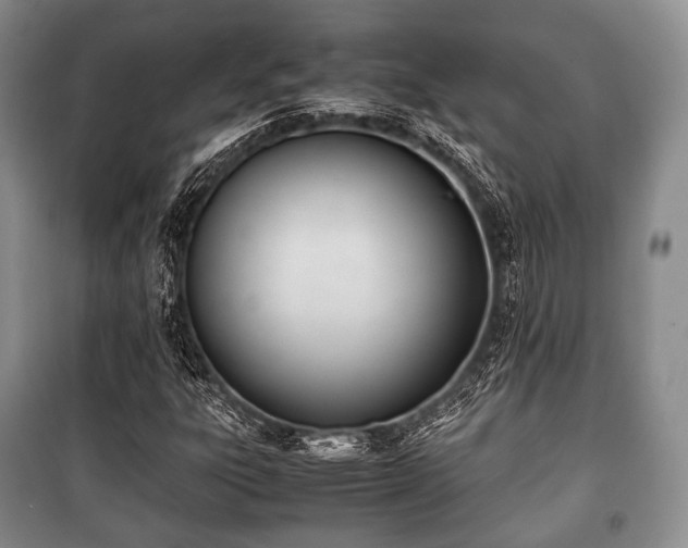 X0000100771303200806261534