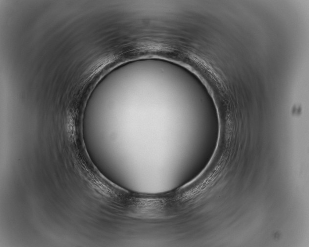 X0000100771305200806261534