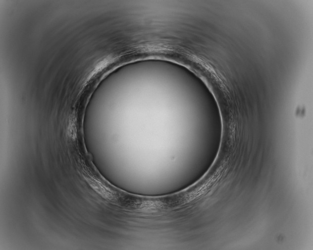 X0000100771306200806261534